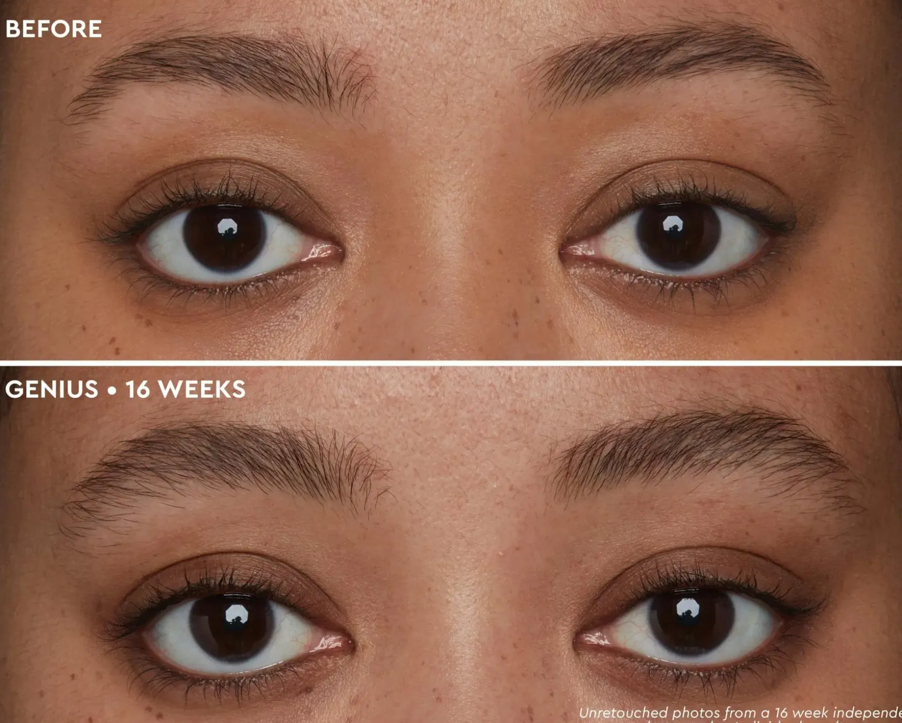 Anastasia Beverly Hills ABH Deluxe Mini Brown Genius kulmaseerumi