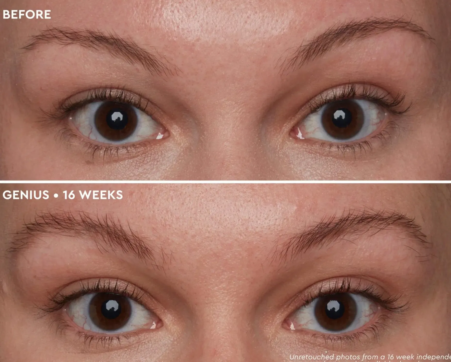 Anastasia Beverly Hills ABH Deluxe Mini Brown Genius kulmaseerumi