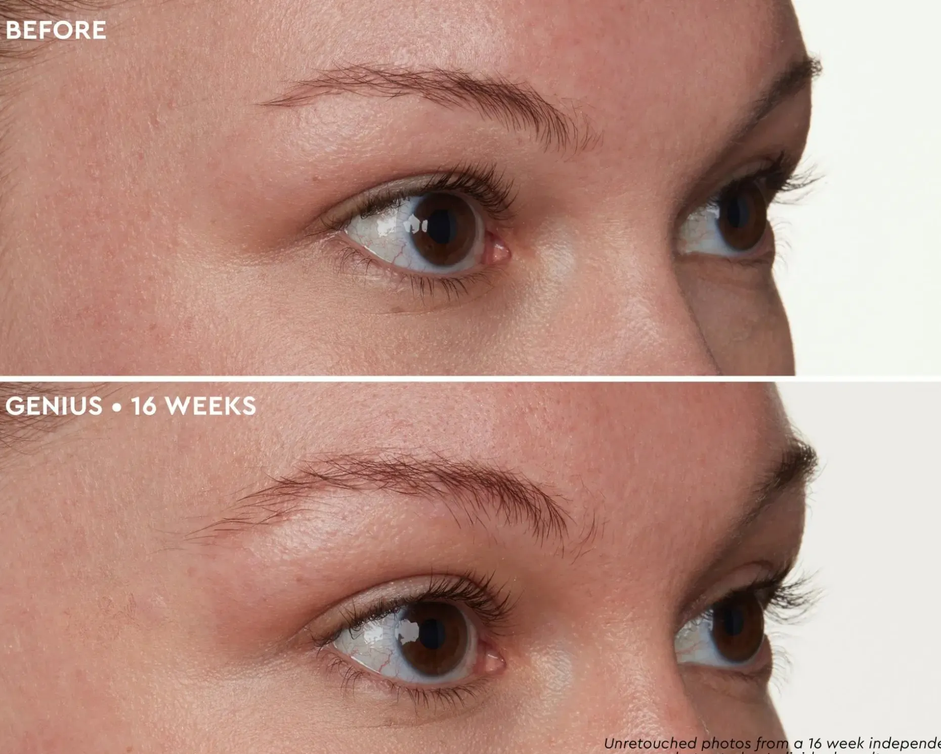 Anastasia Beverly Hills ABH Deluxe Mini Brown Genius kulmaseerumi