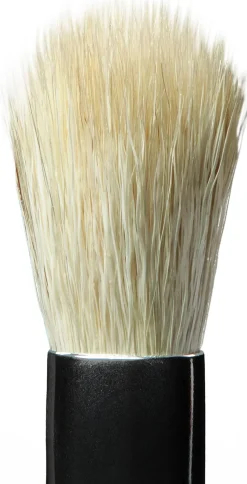 Anastasia Beverly Hills Brush A10 diffuusorisivellin