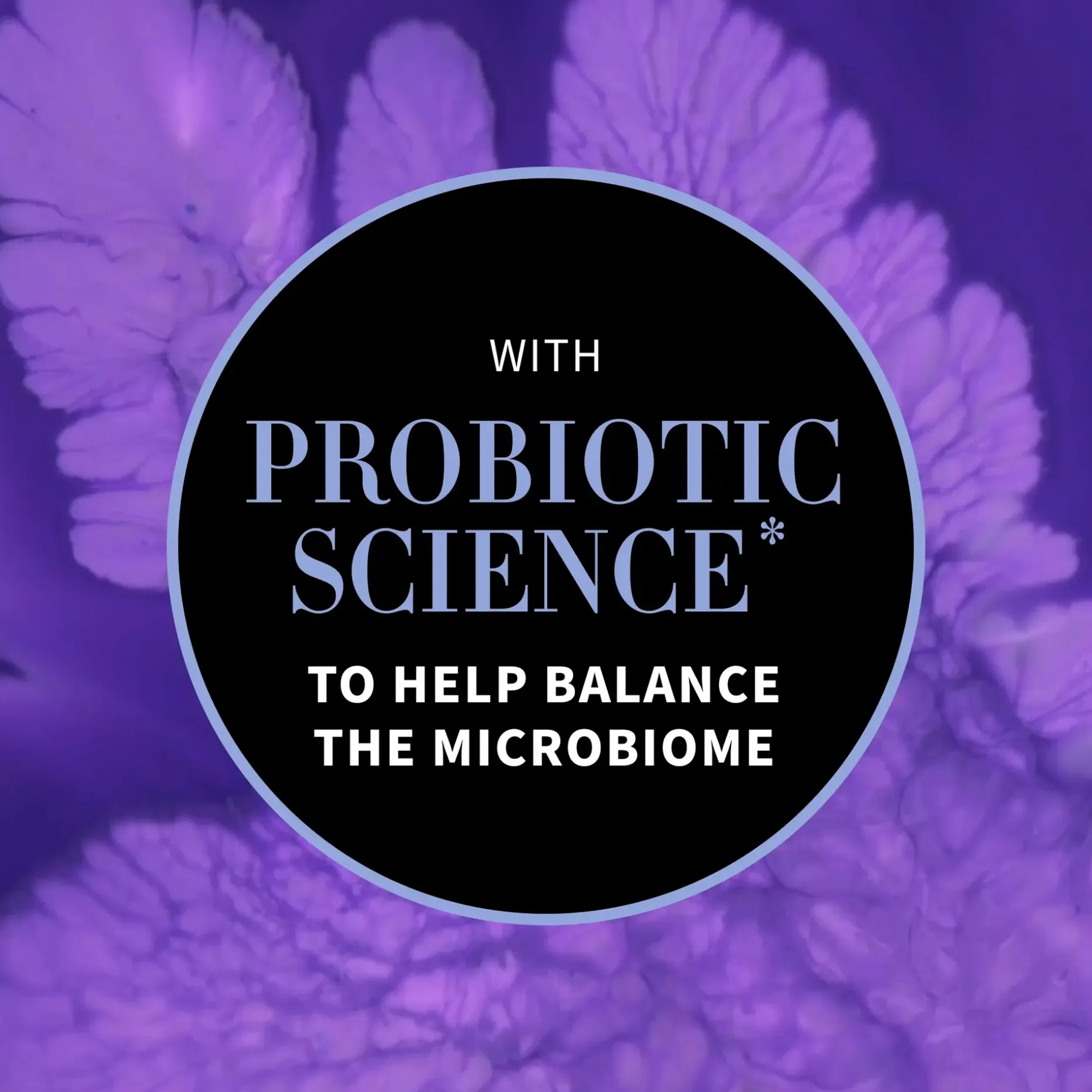 Antipodes Culture Probiotic Night Cream matkakokoinen yövoide 15 ml