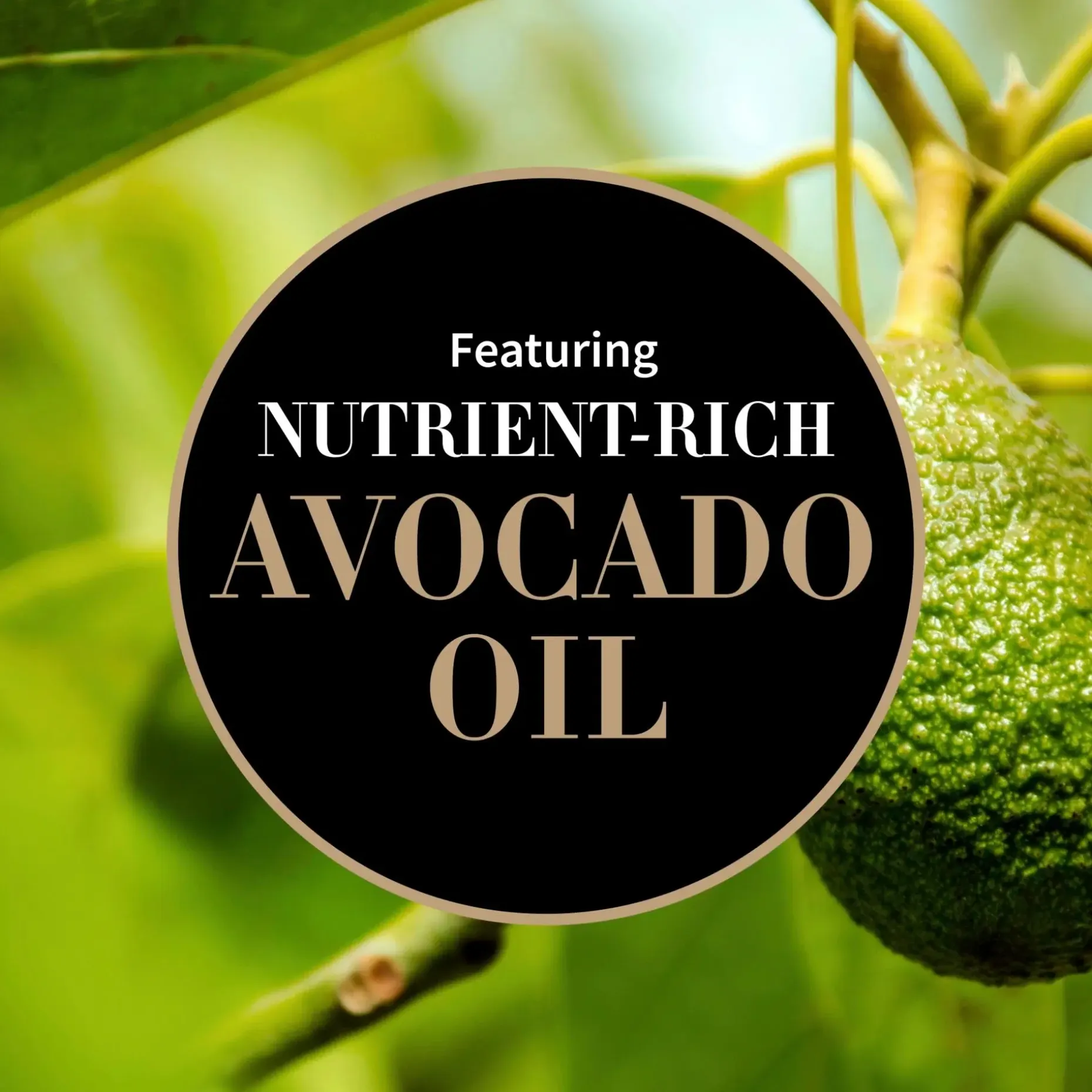 Antipodes Hallelujah Lime & Patchouli Nourishing Cleanser puhdistusvoide 200 ml