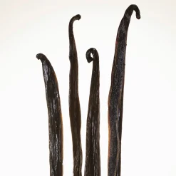 Burberry Goddess EdP Intense tuoksu 30 ml