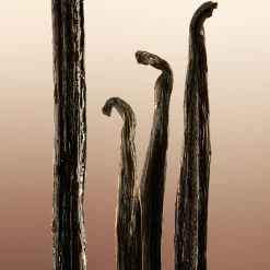 Burberry Goddess EdP tuoksu 30 ml