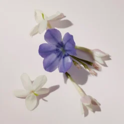 Burberry Her EdP tuoksu 30 ml