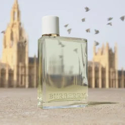 Burberry Her EdT tuoksu 30 ml