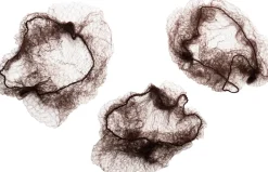 Cailap kokopään hiusverkko ruskea 3 kpl