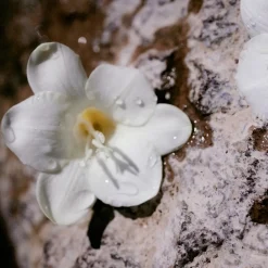 Chloé Nomade EdP tuoksu 30 ml