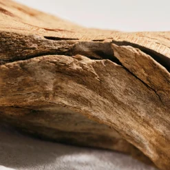 Chloé Signature EdP Intense tuoksu 30 ml