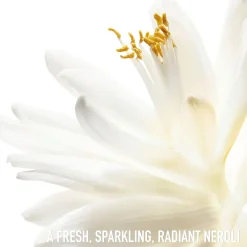 DIOR J'adore Roller-Pearl EdT tuoksu 20 ml