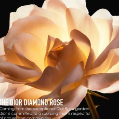 DIOR Prestige La Crème Texture Fine kasvovoide 50 ml