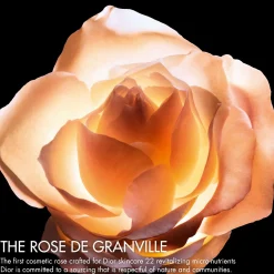 DIOR Prestige Le Concentré Yeux Anti-Aging Care for Eye Contour silmänympärysvoide 15 ml