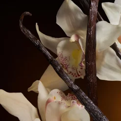 Dolce & Gabbana The One EdP tuoksu 30 ml