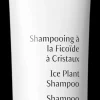 Dr. Hauschka Ice Plant Shampoo Jääruoho shampoo 150 ml