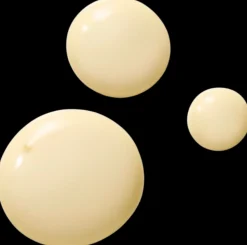 Dr. Hauschka Revitalising Day Lotion kosteusvoide 50 ml