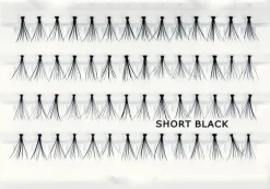 Duroy tupsutekoripset, Short