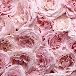 Escada Especially Escada EdP tuoksu 30 ml