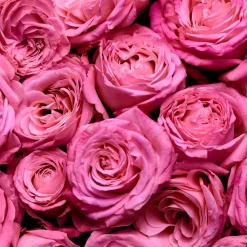 Escada Magnetism EdP tuoksu 25 ml