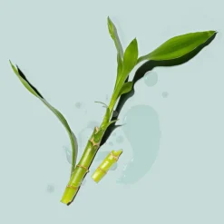 Fenty Hair The Gelly Type Strong Hold Gel muotoilutuote 200 ml