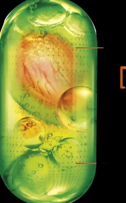 Garnier Fructis Keratin Sleek Shampoo pörröisille hiuksille 200 ml