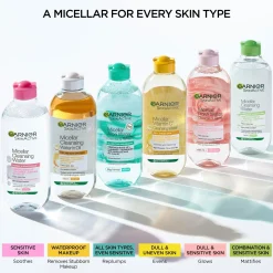 Garnier GAR EAU MICC EXPERT 400 DNSF