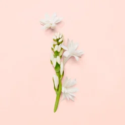 Gucci Bloom EdP tuoksu 30 ml