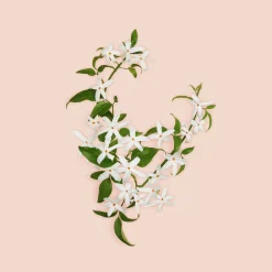 Gucci Bloom Parfum tuoksu 30 ml