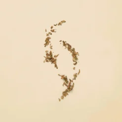 Gucci Guilty for Women EdP tuoksu 30 ml