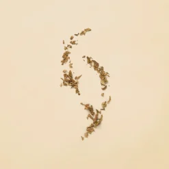 GUCCI Guilty Pour Femme EdT tuoksu 30 ml