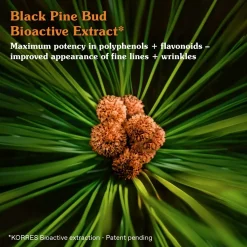 KORRES Black Pine Primus Elasticity Boost Day Cream kosteusvoide 40 ml