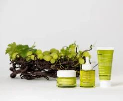 KORRES Santorini Grape Poreless Skin Cream geelivoide 40ml