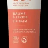 Laboratoires de Biarritz Lip Balm SPF30 huulivoide 15ml