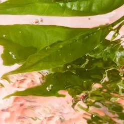 Lancôme Idôle EdT tuoksu 50 ml