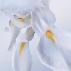 Lancôme La Vie est Belle Rose Extraordinaire EdP tuoksu 30 ml