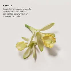 Laura Mercier Eau de Parfum Vanille 50 ml -tuoksu