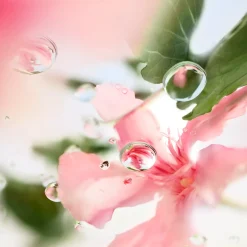 Les Ô Over the Top EdT 100 ml -tuoksu