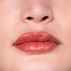 LH cosmetics Fantastick -huulipuna 2 g