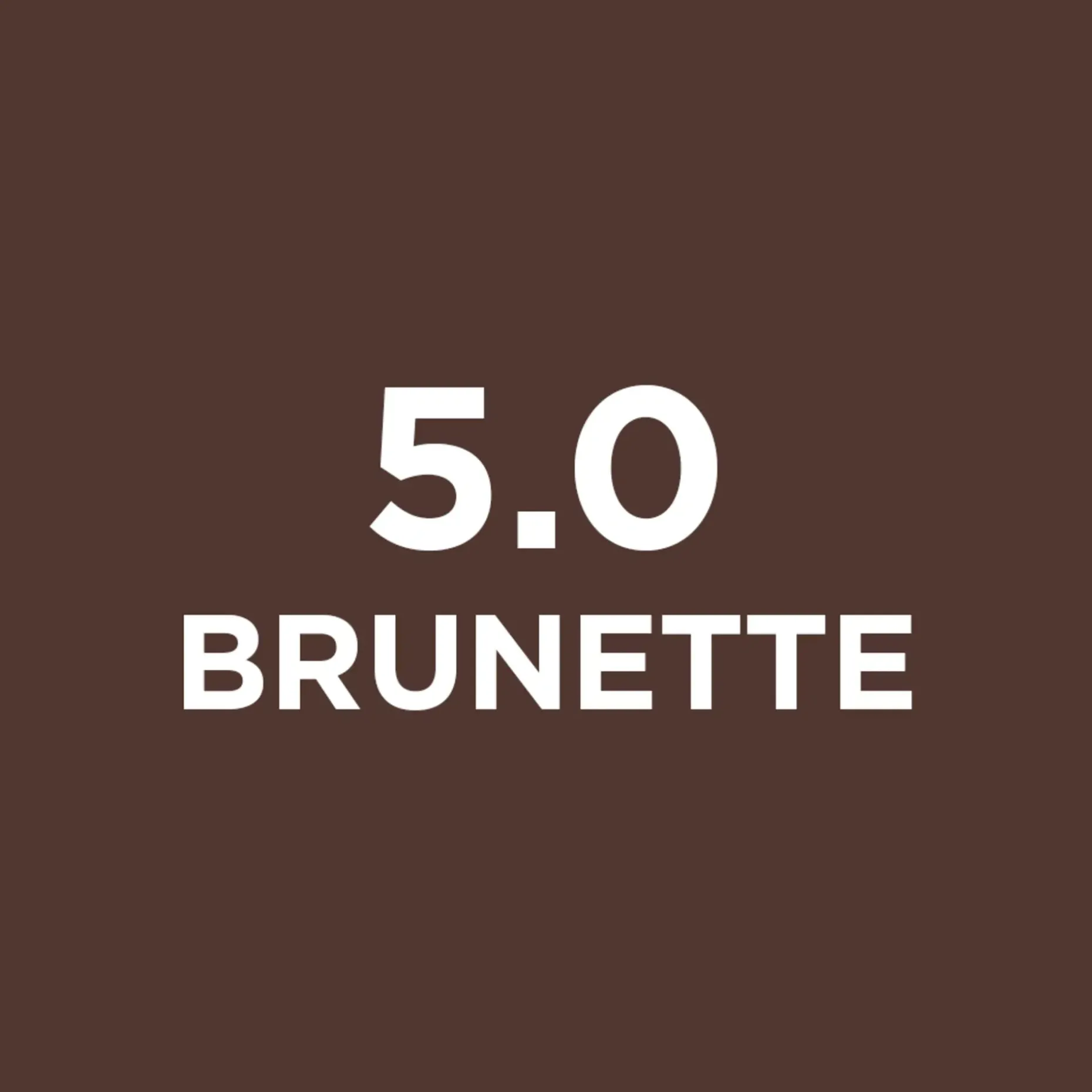 L'Oréal Paris Brow Color Kit kulmaväri 30 ml