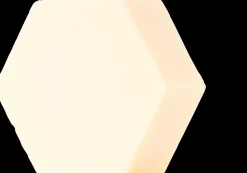 Luonkos Essence käsi- ja vartalosaippua 100g