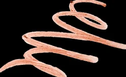 MAC Cosmetics Dazzlelips Crayon -huulipuna 1,5 g