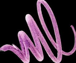 MAC Cosmetics Dazzlelips Crayon -huulipuna 1,5 g