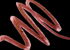 MAC Cosmetics Dazzlelips Crayon -huulipuna 1,5 g