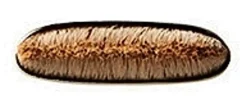 MAC Flat Definer Brush 212 sivellin