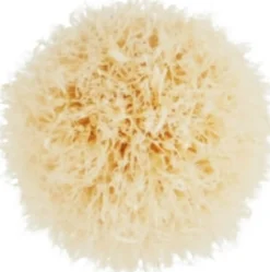 MAC Mini Tapered Blendi Brush 221s sivellin