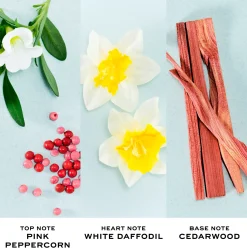 Marc Jacobs Perfect EdT tuoksu 30 ml