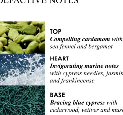 Molton Brown Coastal Cypress & Sea Fennel Fine Liquid käsisaippua lasipullossa 200 ml