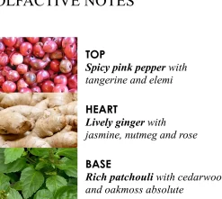 Molton Brown Fiery Pink Pepper Hand Lotion käsivoide 300 ml