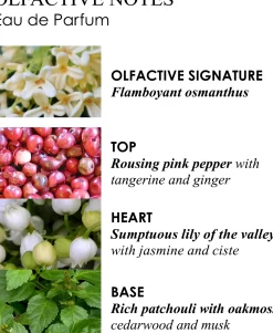 Molton Brown Fiery Pink Pepper EdP tuoksu 100 ml