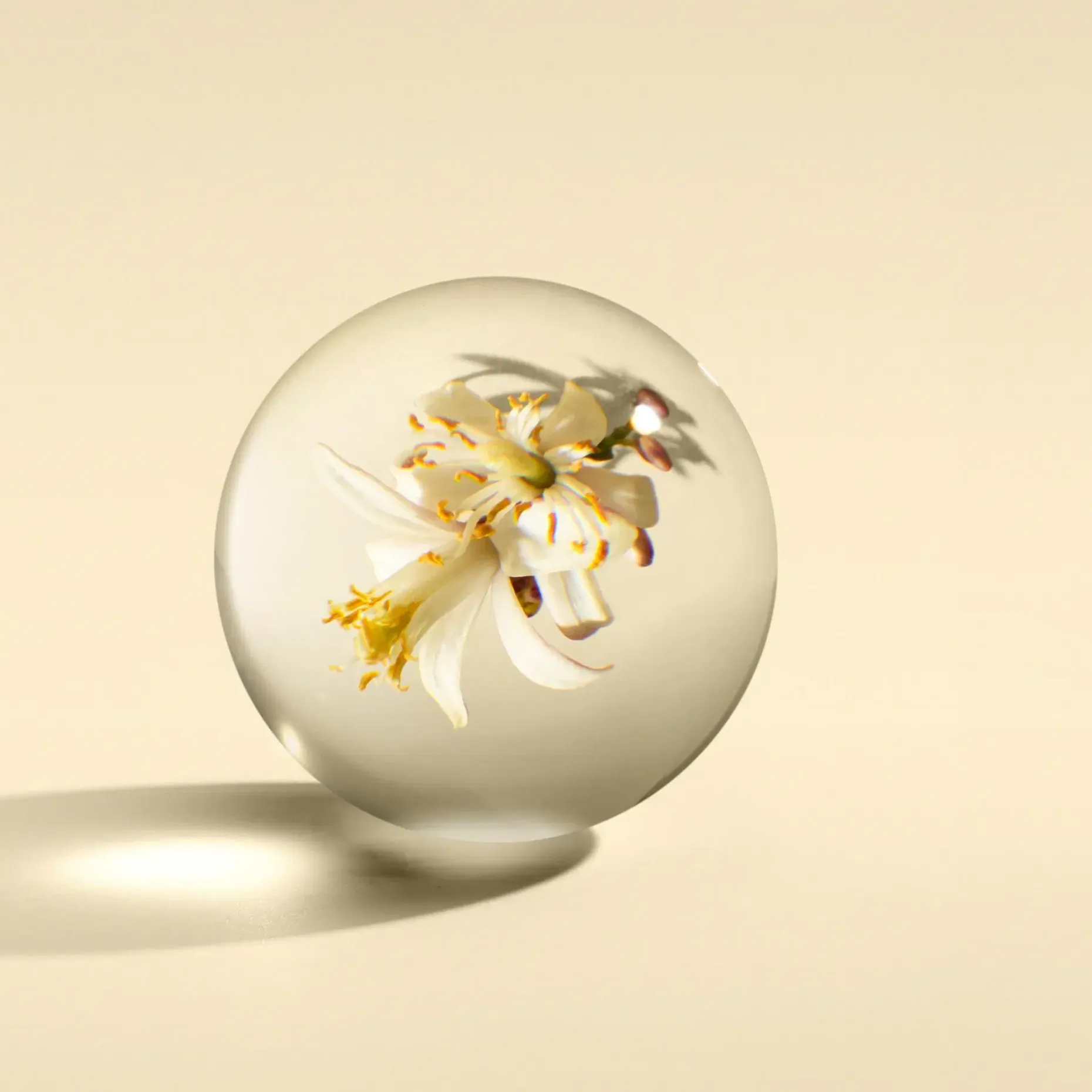 Molton Brown Orange & Bergamot Hand Wash käsisaippua lasipullossa 200 ml