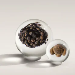 Molton Brown Re-Charge Black Pepper EdP Travel Case Refill täyttöpakkaus 7,5 ml